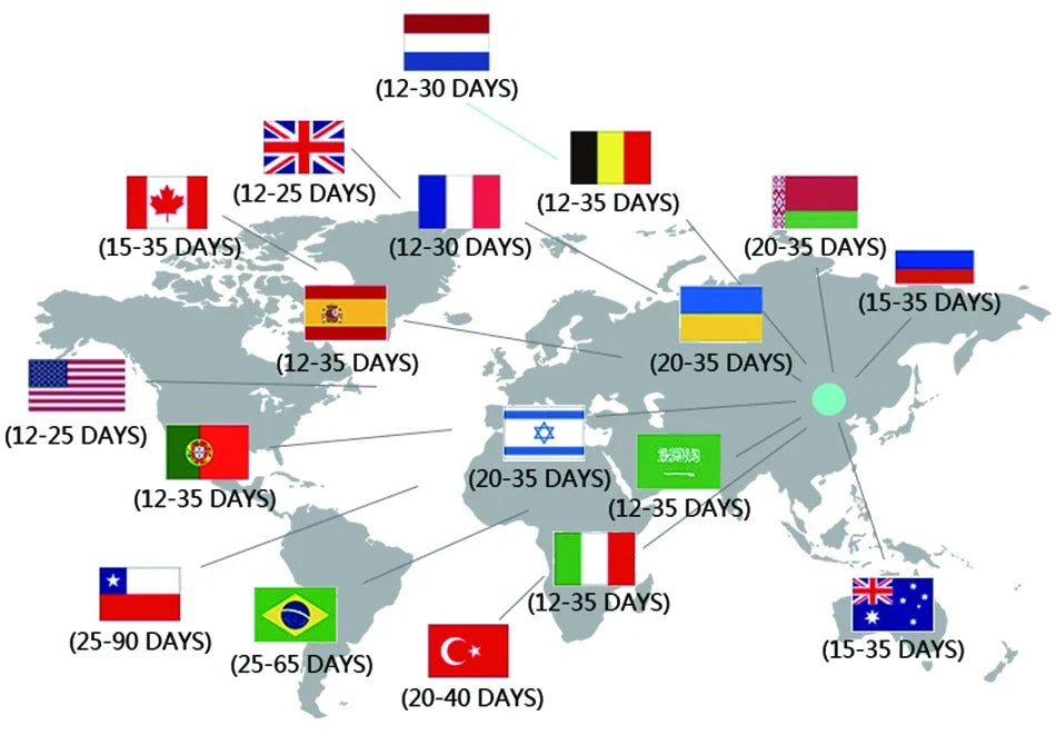 Adams Dress Girl Costume for Girls Black Dress Halloween