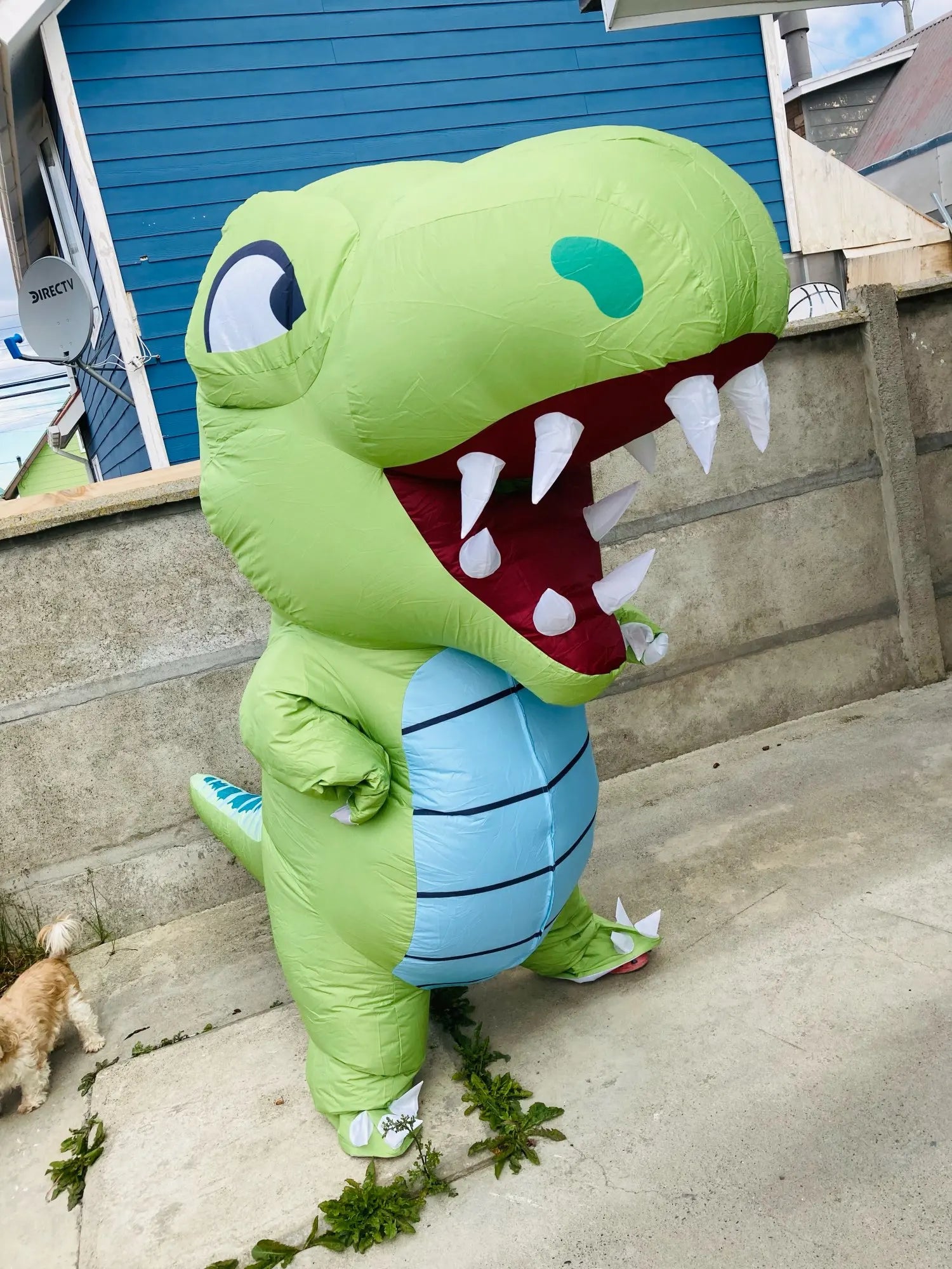 Funny Cartoon Big Mouth Inflatable Green Dinosaur Cosplay Costume Adult Halloween Carnival Party